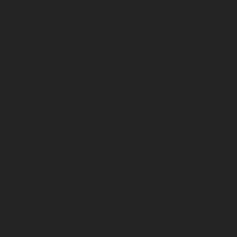 Black (RAL9005)