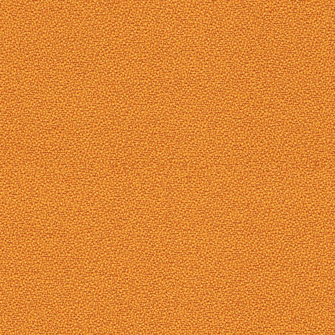 Solano