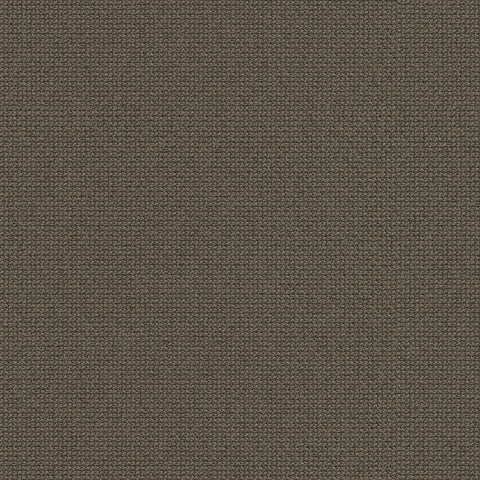 61169