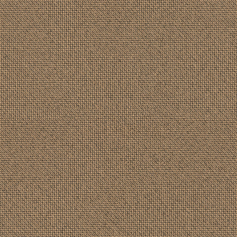 61233