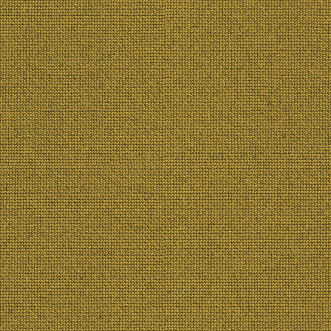62084
