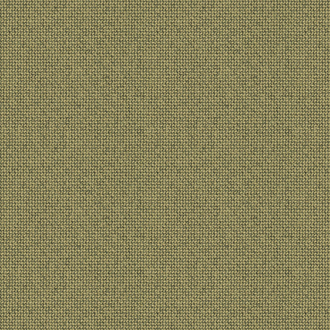 62126
