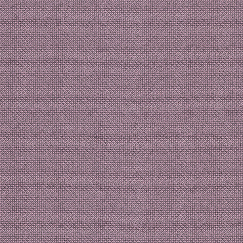 64194