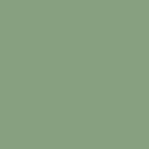 Green (RAL6021)