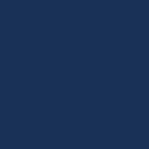 Navy blue (RAL5003)