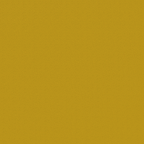 0022 Maize