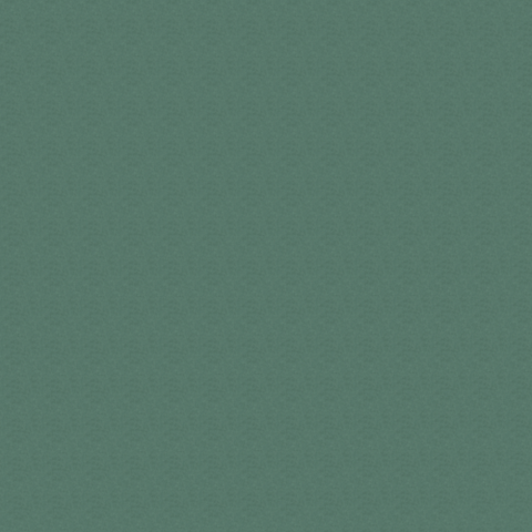 0050 Mint