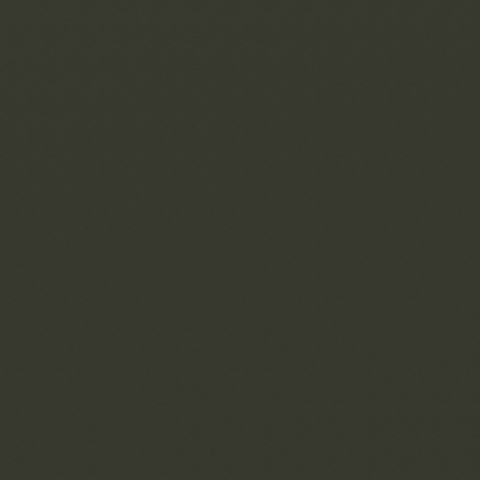 0053 Olive