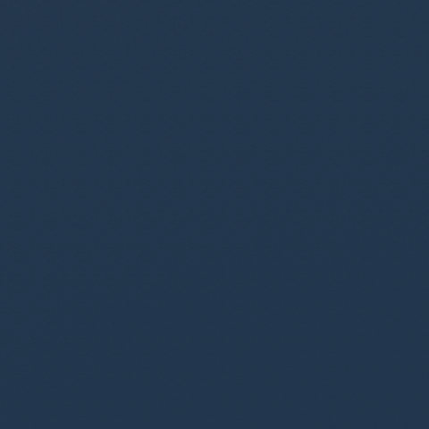 0056 Petrol
