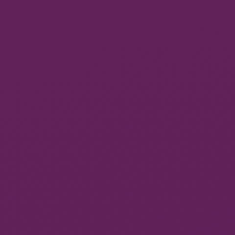 0076 Prune