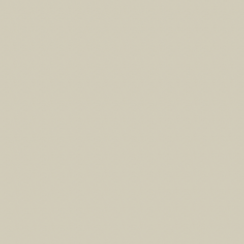 0101 Ivory