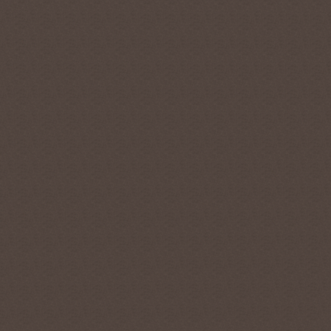 0124 Shitake
