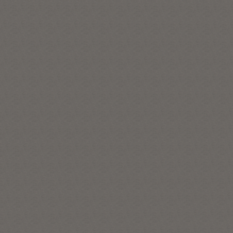 0180 Dolphin