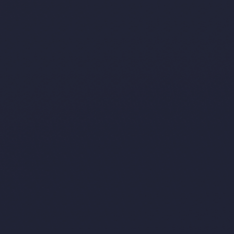 1007 Navy