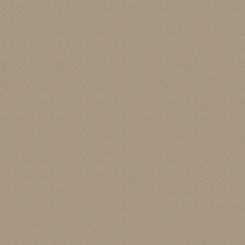 1037 Beige