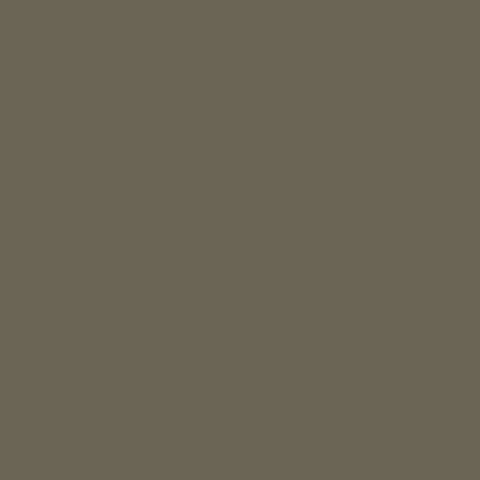 Olive green FT16