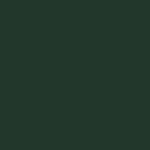 Pine green FT22