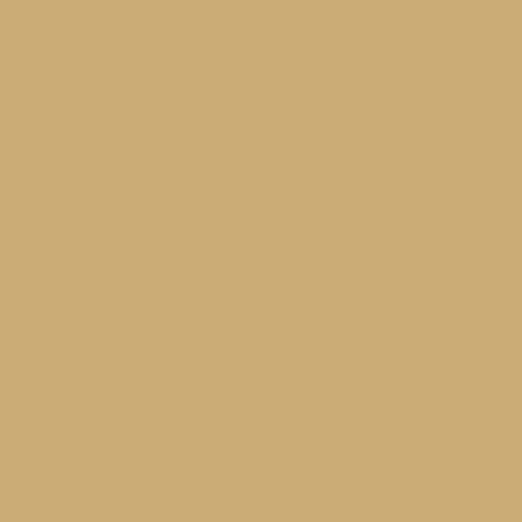 Sunflower yellow FT24