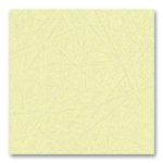 Vitra Fiberglass Side Chair DSW Perkament (OUTLET)